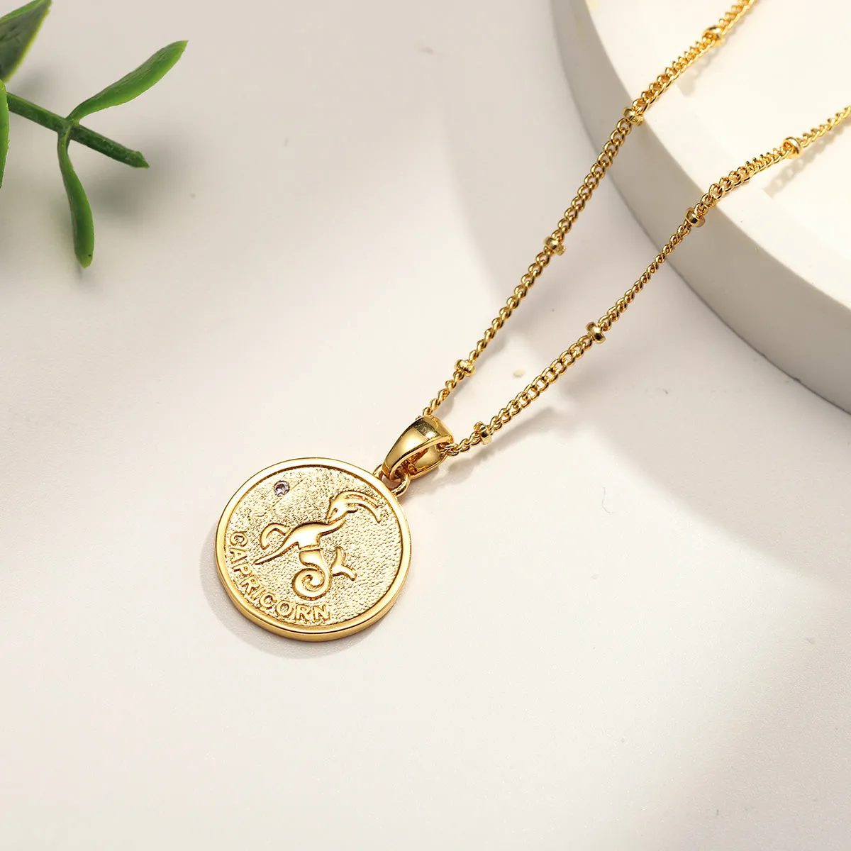 Capricorn Constellation Coin Pendant Necklace